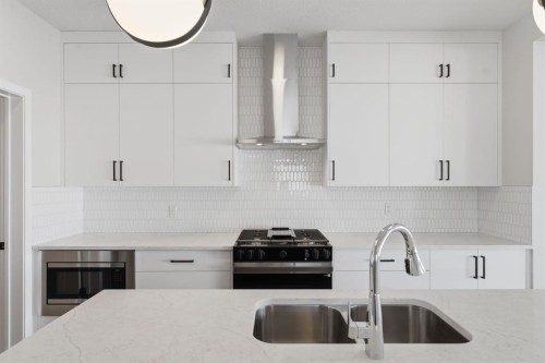 84 Lewiston View Ne, Calgary, AB - Indoor Photo Showing Kitchen With Double Sink With Upgraded Kitchen