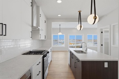 84 Lewiston View Ne, Calgary, AB - Indoor Photo Showing Kitchen With Double Sink With Upgraded Kitchen