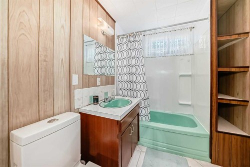 5202 44 Street, Olds, AB - Indoor Photo Showing Bathroom