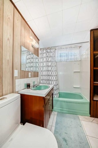 5202 44 Street, Olds, AB - Indoor Photo Showing Bathroom