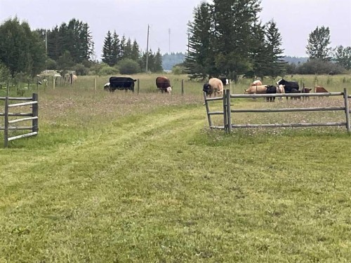 34331 Range Road 41 Road South, Rural Red Deer County, AB 
