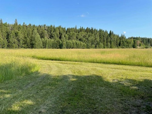 34331 Range Road 41 Road South, Rural Red Deer County, AB 