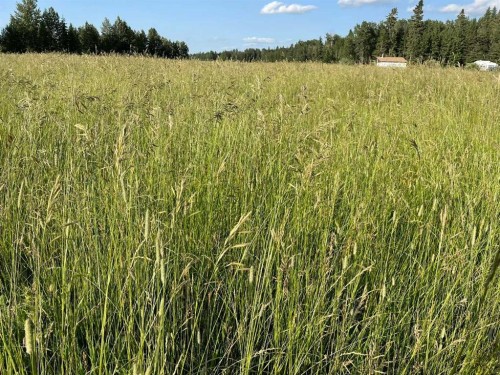 34331 Range Road 41 Road South, Rural Red Deer County, AB 