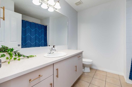 2 Everridge Villas Sw, Calgary, AB - Indoor Photo Showing Bathroom