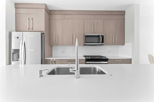 919 Walgrove Boulevard Se, Calgary, AB - Indoor Photo Showing Kitchen With Stainless Steel Kitchen With Double Sink With Upgraded Kitchen