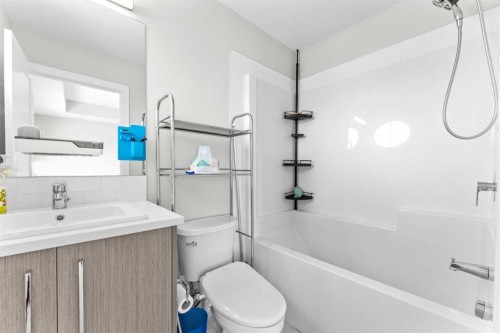 919 Walgrove Boulevard Se, Calgary, AB - Indoor Photo Showing Bathroom