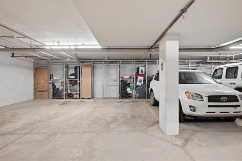 2119-175 Panatella Hill Nw, Calgary, AB - Indoor Photo Showing Garage