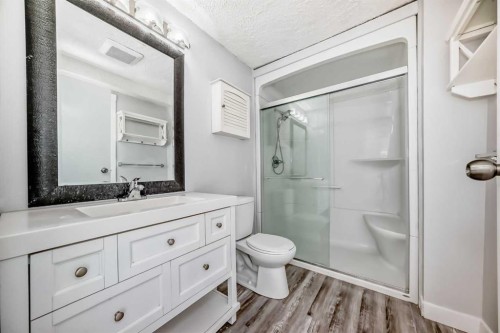 61 Citadel Hills Circle Nw, Calgary, AB - Indoor Photo Showing Bathroom