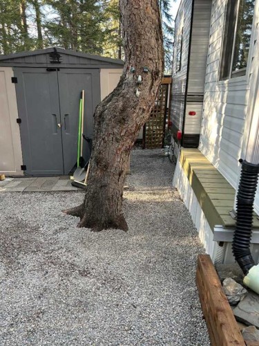 53 Timber Trail, Sundre, AB 