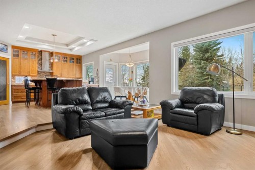 50 Chapala Crescent Se, Calgary, AB - Indoor Photo Showing Living Room