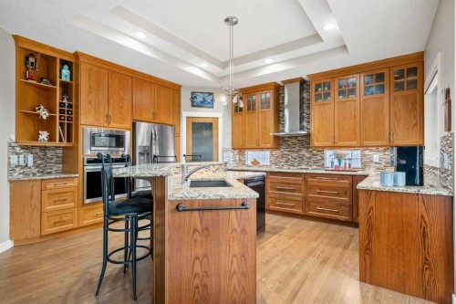50 Chapala Crescent Se, Calgary, AB - Indoor Photo Showing Kitchen With Upgraded Kitchen