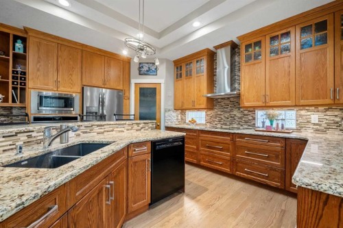 50 Chapala Crescent Se, Calgary, AB - Indoor Photo Showing Kitchen With Double Sink With Upgraded Kitchen