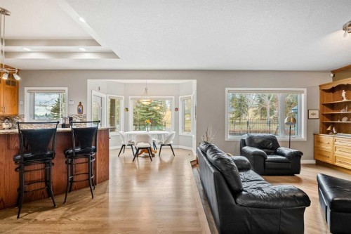 50 Chapala Crescent Se, Calgary, AB - Indoor Photo Showing Living Room