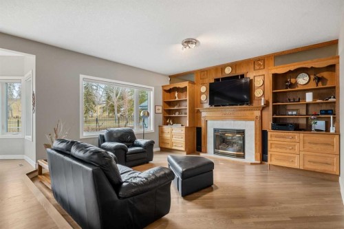 50 Chapala Crescent Se, Calgary, AB - Indoor Photo Showing Living Room With Fireplace
