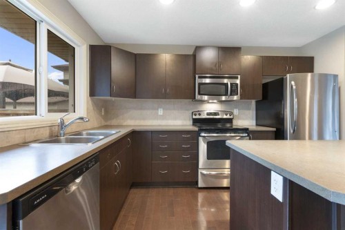 221 Prestwick Terrace Se, Calgary, AB - Indoor Photo Showing Kitchen With Double Sink