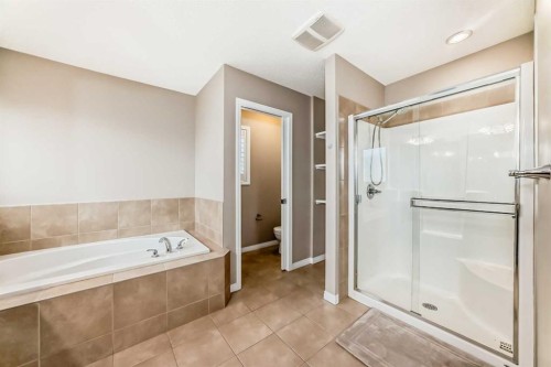 99 Skyview Shores Road, Calgary, AB - Indoor Photo Showing Bathroom
