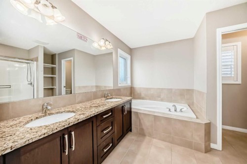 99 Skyview Shores Road, Calgary, AB - Indoor Photo Showing Bathroom