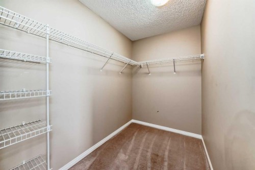 99 Skyview Shores Road, Calgary, AB - Indoor With Storage