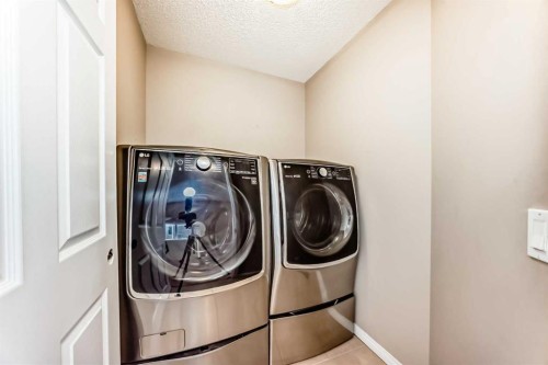 99 Skyview Shores Road, Calgary, AB - Indoor Photo Showing Laundry Room