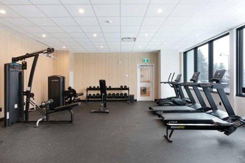 214-730 2Nd Avenue Sw, Calgary, AB - Indoor Photo Showing Gym Room