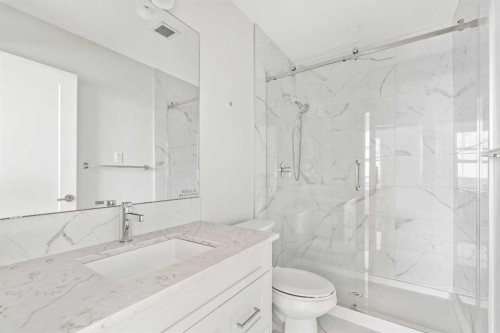 407-300 Auburn Meadows Common Se, Calgary, AB - Indoor Photo Showing Bathroom