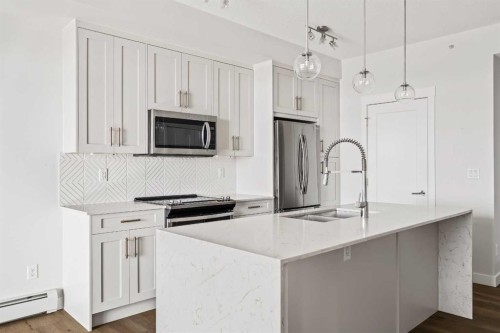 407-300 Auburn Meadows Common Se, Calgary, AB - Indoor Photo Showing Kitchen With Upgraded Kitchen