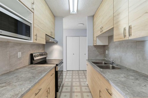 103-231 64 Avenue Nw, Calgary, AB - Indoor Photo Showing Kitchen With Double Sink With Upgraded Kitchen