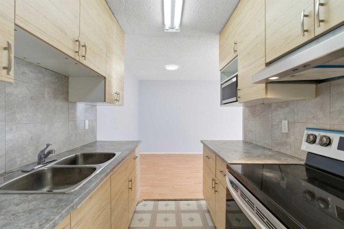 103-231 64 Avenue Nw, Calgary, AB - Indoor Photo Showing Kitchen With Double Sink