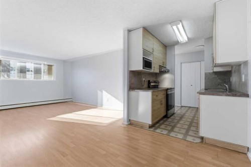 103-231 64 Avenue Nw, Calgary, AB - Indoor Photo Showing Kitchen