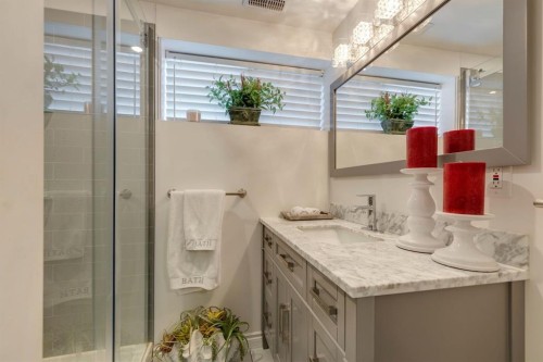299 Doverview Crescent Se, Calgary, AB - Indoor Photo Showing Bathroom