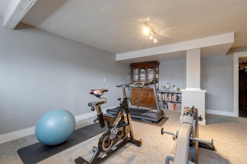 299 Doverview Crescent Se, Calgary, AB - Indoor Photo Showing Gym Room