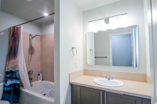 52 Templeby Way Ne, Calgary, AB - Indoor Photo Showing Bathroom