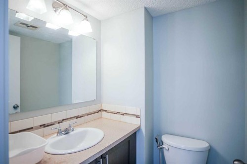 52 Templeby Way Ne, Calgary, AB - Indoor Photo Showing Bathroom