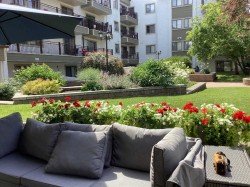 102-723 57 Avenue SW Calgary, AB T2V 4Z3