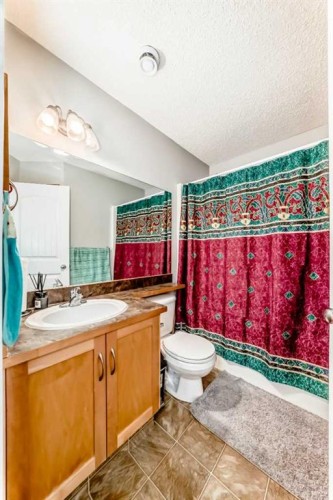 203-4 Everridge Square Sw, Calgary, AB - Indoor Photo Showing Bathroom