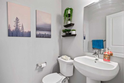 9121 52 Street Ne, Calgary, AB - Indoor Photo Showing Bathroom
