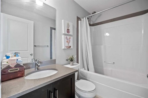 9121 52 Street Ne, Calgary, AB - Indoor Photo Showing Bathroom