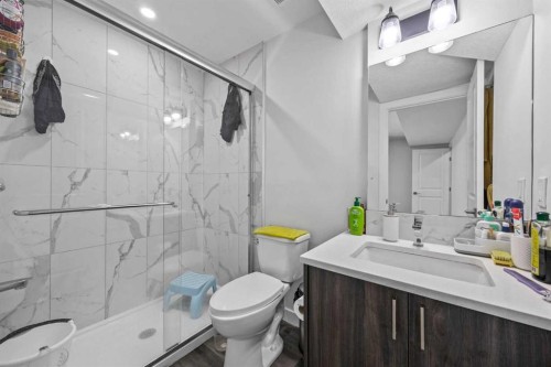 9121 52 Street Ne, Calgary, AB - Indoor Photo Showing Bathroom