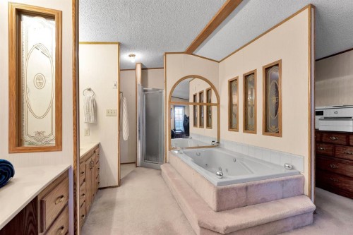 254 Erin Woods Circle Se, Calgary, AB - Indoor Photo Showing Bathroom