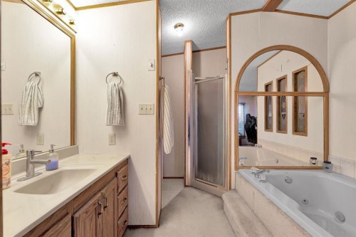 254 Erin Woods Circle Se, Calgary, AB - Indoor Photo Showing Bathroom