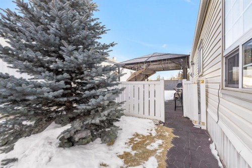 254 Erin Woods Circle Se, Calgary, AB - Outdoor