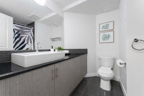 2117-240 Skyview Ranch Road Ne, Calgary, AB - Indoor Photo Showing Bathroom