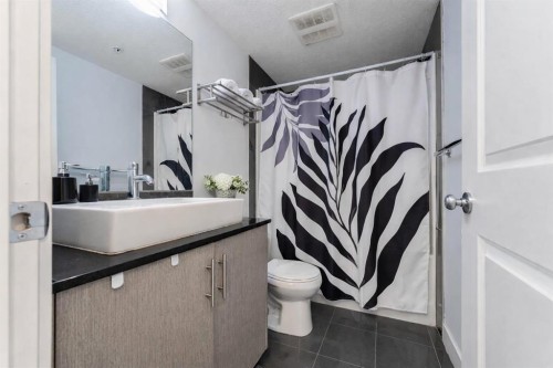 2117-240 Skyview Ranch Road Ne, Calgary, AB - Indoor Photo Showing Bathroom