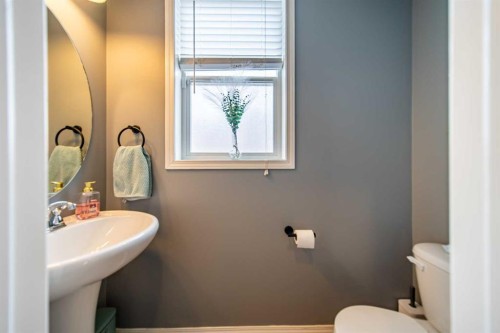 322 Windridge View Sw, Airdrie, AB - Indoor Photo Showing Bathroom