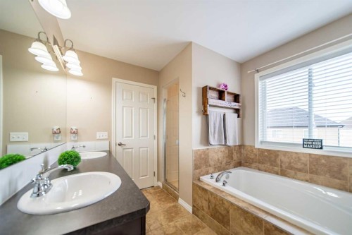 322 Windridge View Sw, Airdrie, AB - Indoor Photo Showing Bathroom