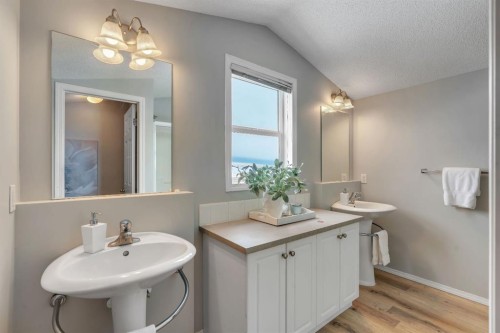 41 Saddlefield Drive Ne, Calgary, AB - Indoor Photo Showing Bathroom