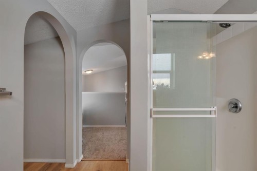 41 Saddlefield Drive Ne, Calgary, AB - Indoor