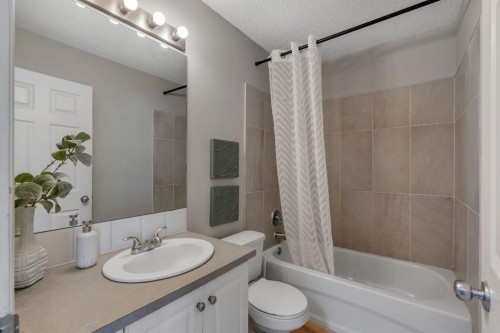 41 Saddlefield Drive Ne, Calgary, AB - Indoor Photo Showing Bathroom