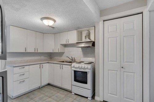 41 Saddlefield Drive Ne, Calgary, AB - Indoor Photo Showing Kitchen With Double Sink
