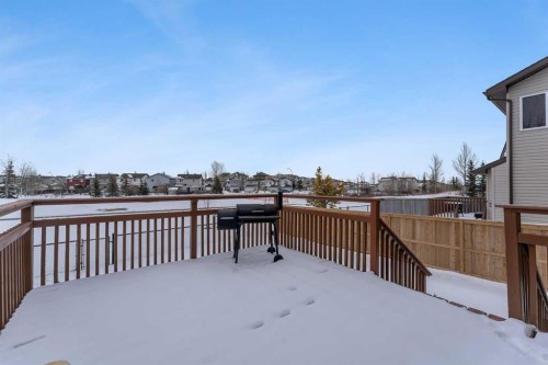 41 Royal Birch Terrace Nw, Calgary, AB - Outdoor With Exterior